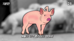 1분만_돼지가 위험한 이유